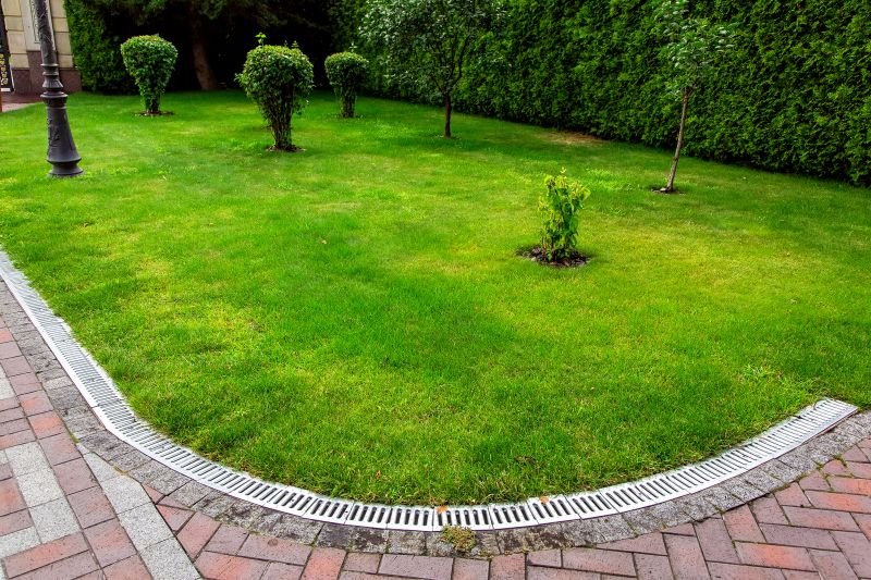 Assessing Your Lawn's Needs